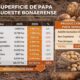 Papa: el sudeste bonaerense avanza hacia la lógica de producir menos para ganar más