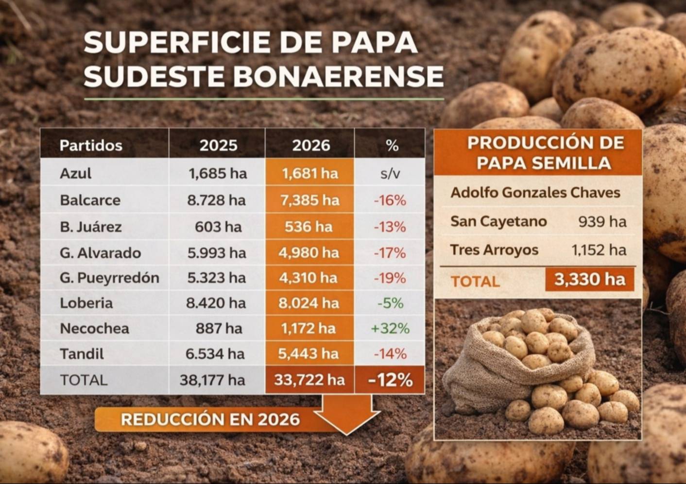 Papa: el sudeste bonaerense avanza hacia la lógica de producir menos para ganar más