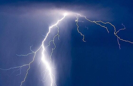 Video: Un rayo provocó la muerte de más de 30 animales en un campo de General La Madrid