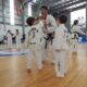 Encuentro regional de Taekwondo ITF: Intensa jornada de capacitación e integración en Monte Hermoso