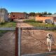 Nuevo ataque de dogos en Bahía Blanca: “Me cubrí la cara y me destrozaron los brazos”