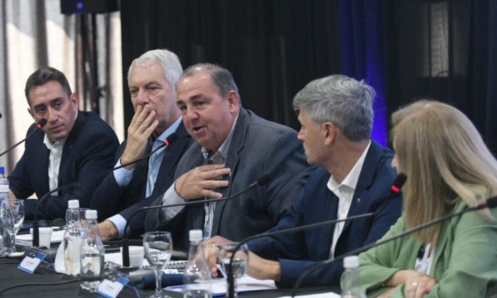 Intendentes preparan una avanzada judicial contra Milei