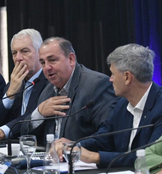 Intendentes preparan una avanzada judicial contra Milei