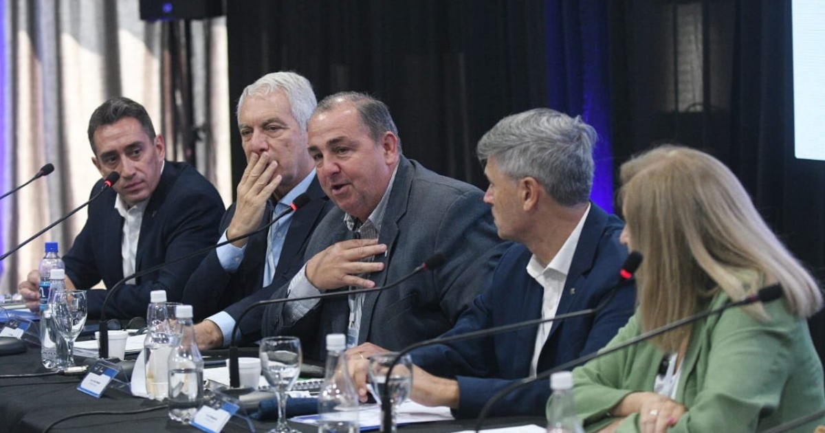 Intendentes preparan una avanzada judicial contra Milei