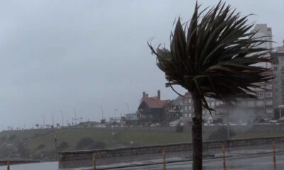 Temporal en Buenos Aires: alertan por ráfagas de hasta 100 km/h y el viento fuerte llegará a la tarde al AMBA y La Plata