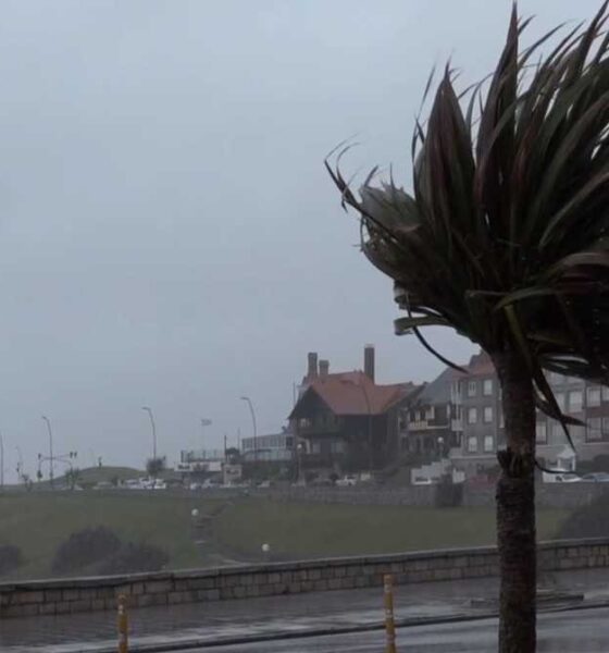 Temporal en Buenos Aires: alertan por ráfagas de hasta 100 km/h y el viento fuerte llegará a la tarde al AMBA y La Plata