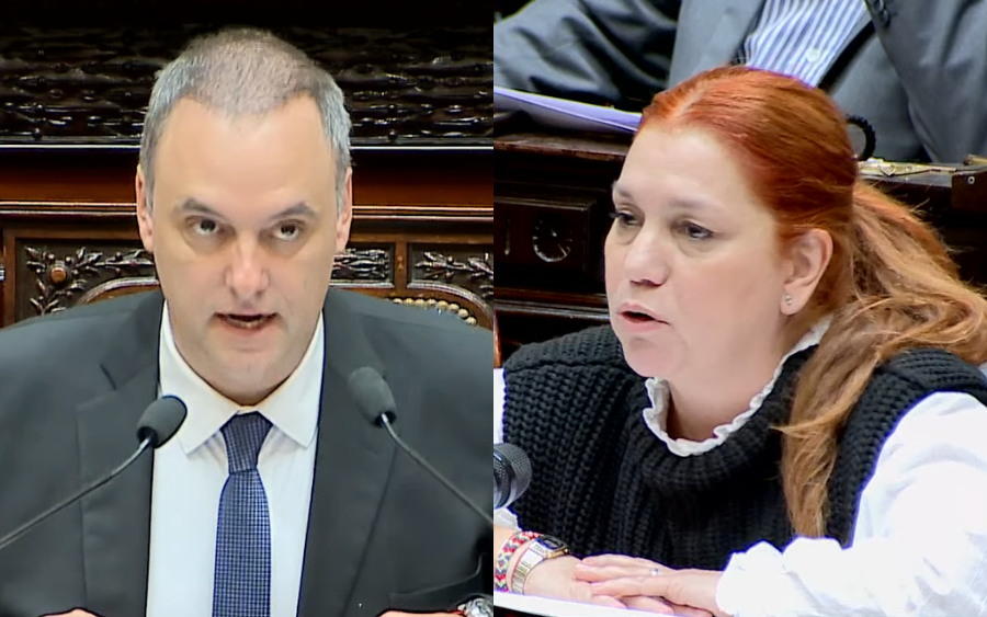 Subsidios a inundados de Bahía: Diputada le preguntó a Adorni si podían revisar por qué hay rechazos pero no contestó