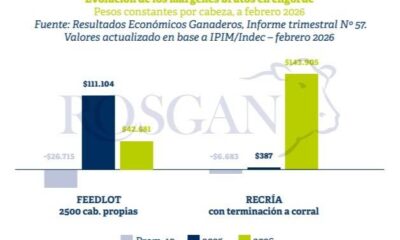 Ganadería: casi todos los indicadores ratifican la continuidad de un escenario favorable