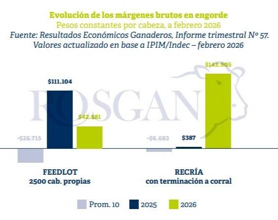 Ganadería: casi todos los indicadores ratifican la continuidad de un escenario favorable