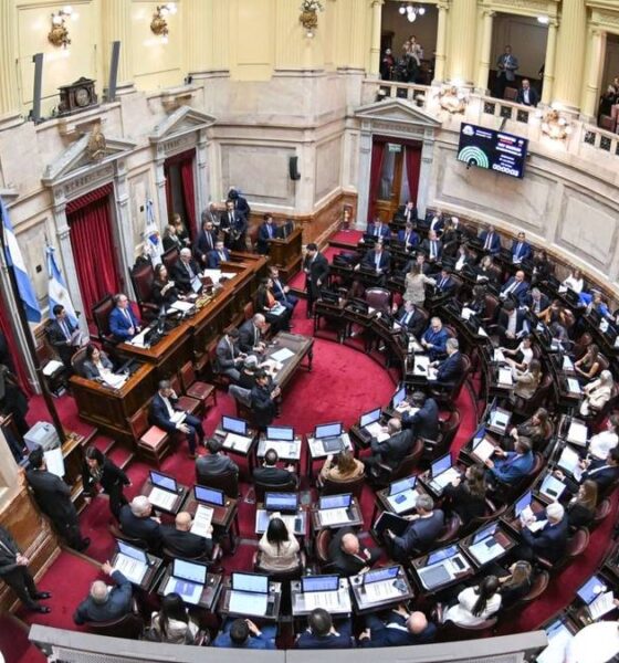 Congreso paralizado: por qué Milei no puede avanzar sus proyectos de ley