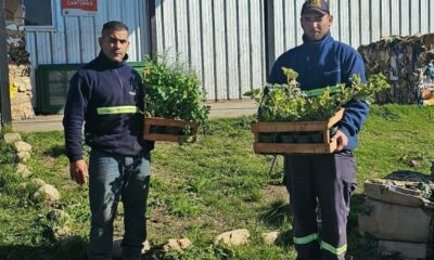 Tornquist y Sierra de la Ventana celebran el Día del Reciclado con una gran jornada de Eco Canje