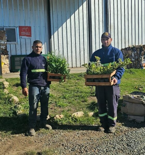 Tornquist y Sierra de la Ventana celebran el Día del Reciclado con una gran jornada de Eco Canje