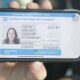 Concejal de Bahía Blanca propone que licencia digital sea válida en los controles de tránsito y así se eviten multas