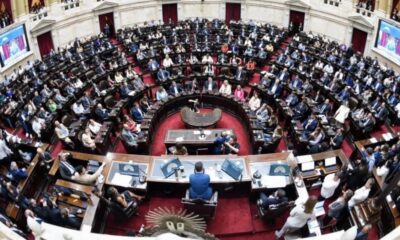 ZONA FRÍA: CÓMO VOTARON los DIPUTADOS de SANTA CRUZ el PROYECTO de MILEI