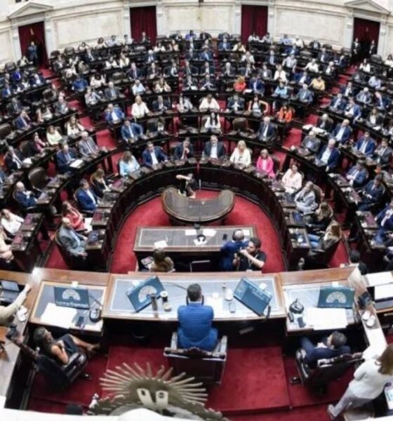 ZONA FRÍA: CÓMO VOTARON los DIPUTADOS de SANTA CRUZ el PROYECTO de MILEI