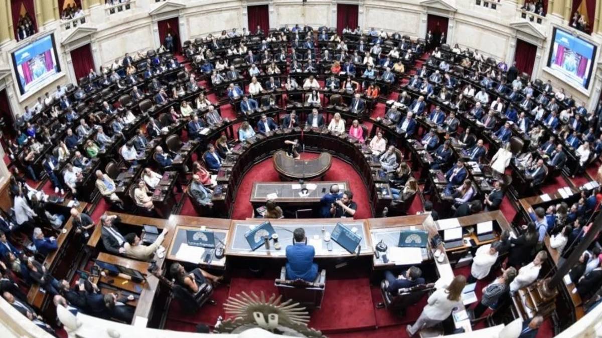 ZONA FRÍA: CÓMO VOTARON los DIPUTADOS de SANTA CRUZ el PROYECTO de MILEI