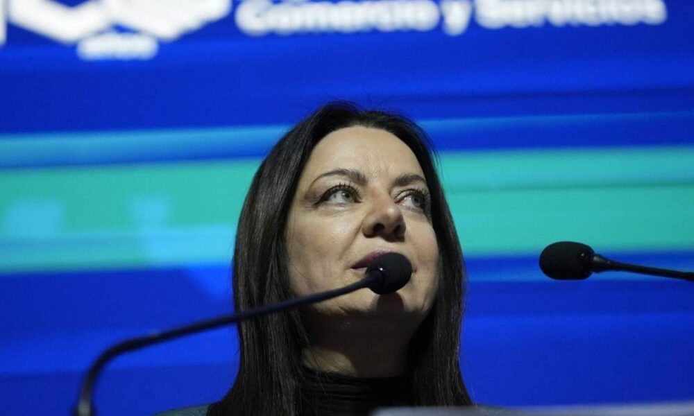 La oposición pone bajo la lupa el "Gemelo Digital" de Pettovello