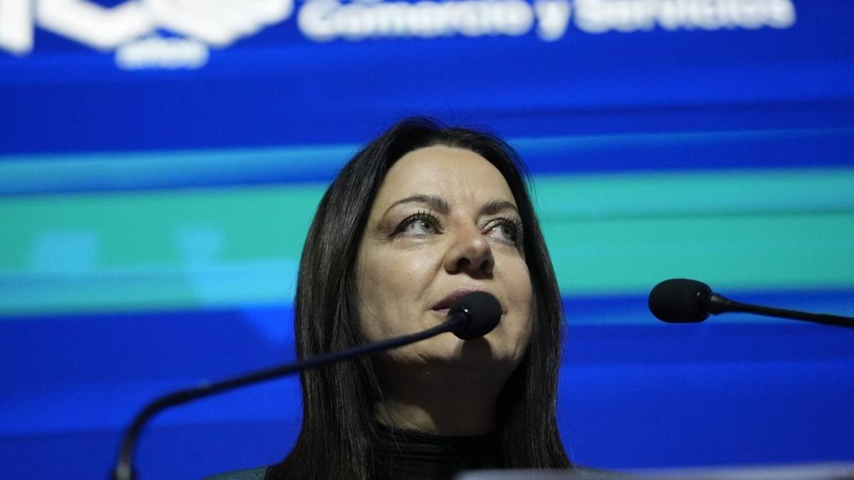 La oposición pone bajo la lupa el "Gemelo Digital" de Pettovello