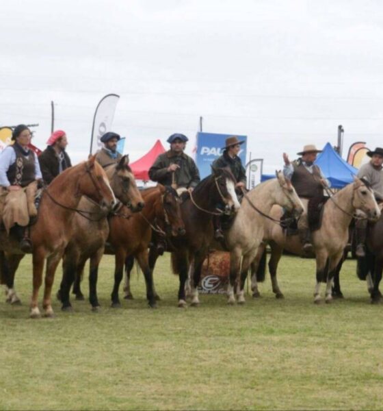 La 50ª Exposición Rural de Tornquist abre sus tranqueras a toda la zona