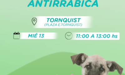 Miércoles 13: jornada de vacunación antirrábica en Tornquist