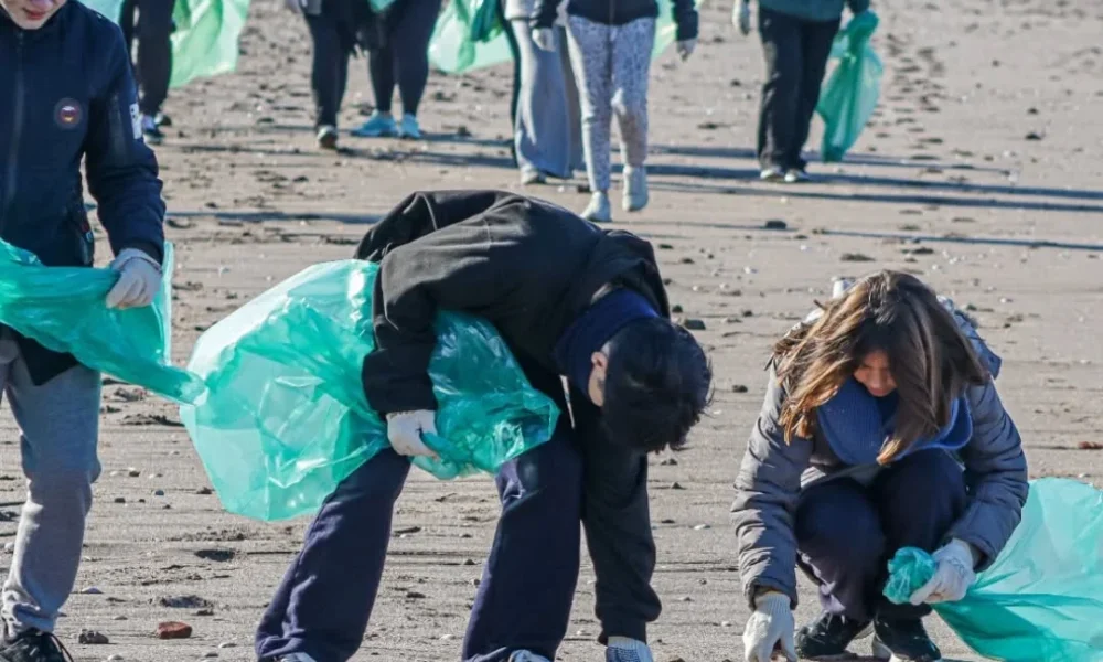 Tras la sudestada en Monte Hermoso: voluntarios retiraron más de 4 toneladas de residuos de la costa