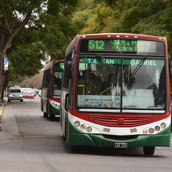 El HCD de Bahía Blanca trata el aumento del transporte: a diferencia de Nación, los libertarios locales se oponen