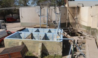Enviarán a juicio a los dueños de un frigorífico por la muerte de un operario en Bahía Blanca: cayó a un desagüe