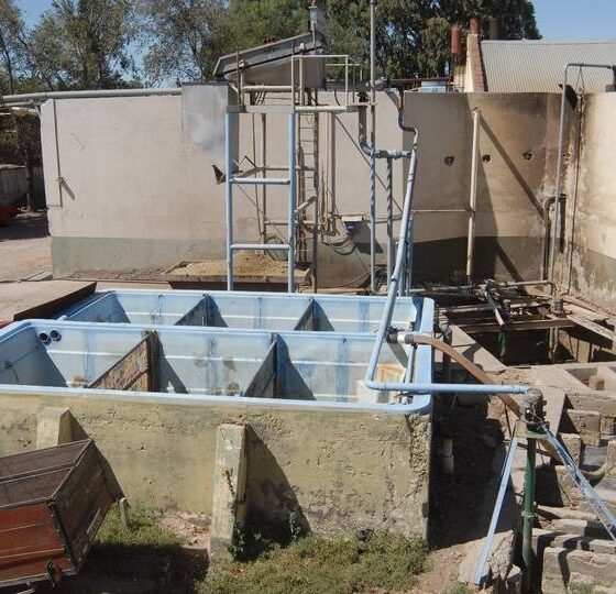 Enviarán a juicio a los dueños de un frigorífico por la muerte de un operario en Bahía Blanca: cayó a un desagüe