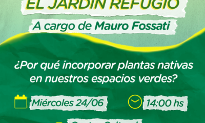 ‘El jardín refugio’, charla sobre plantas nativas en Sierra de la Ventana