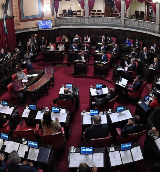 La Libertad Avanza, presa de sus propios errores en la Legislatura bonaerense