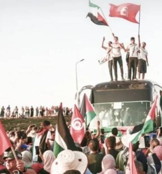 La oposición pidió a Cancillería intervenir por los argentinos desaparecidos en Libia