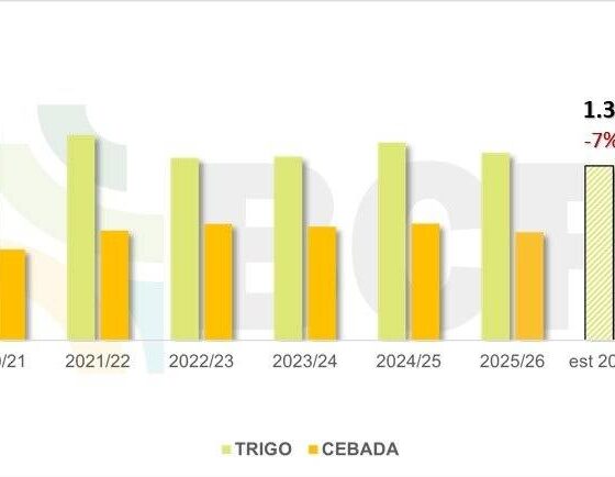 Pese a la cosecha récord, sembrarán menos trigo y cebada en la zona