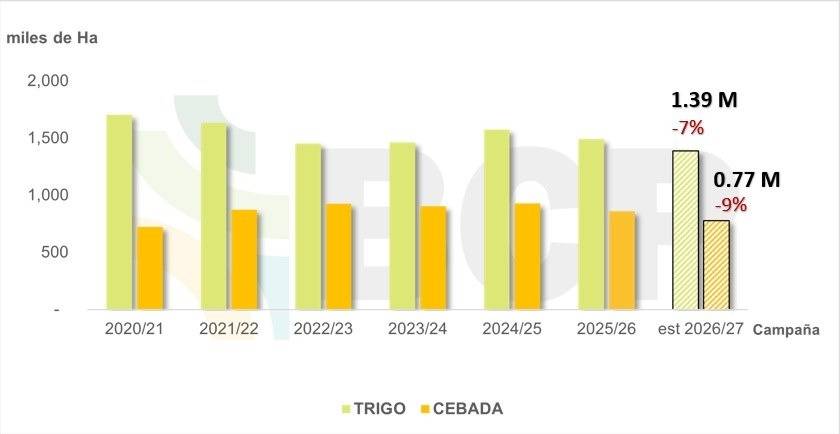 Pese a la cosecha récord, sembrarán menos trigo y cebada en la zona