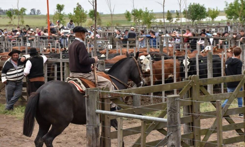 Asociación Agrícola Ganadera, siete décadas acompañando al campo y la producción local