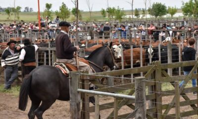Asociación Agrícola Ganadera, siete décadas acompañando al campo y la producción local