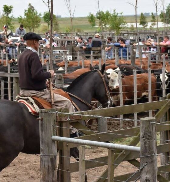 Asociación Agrícola Ganadera, siete décadas acompañando al campo y la producción local