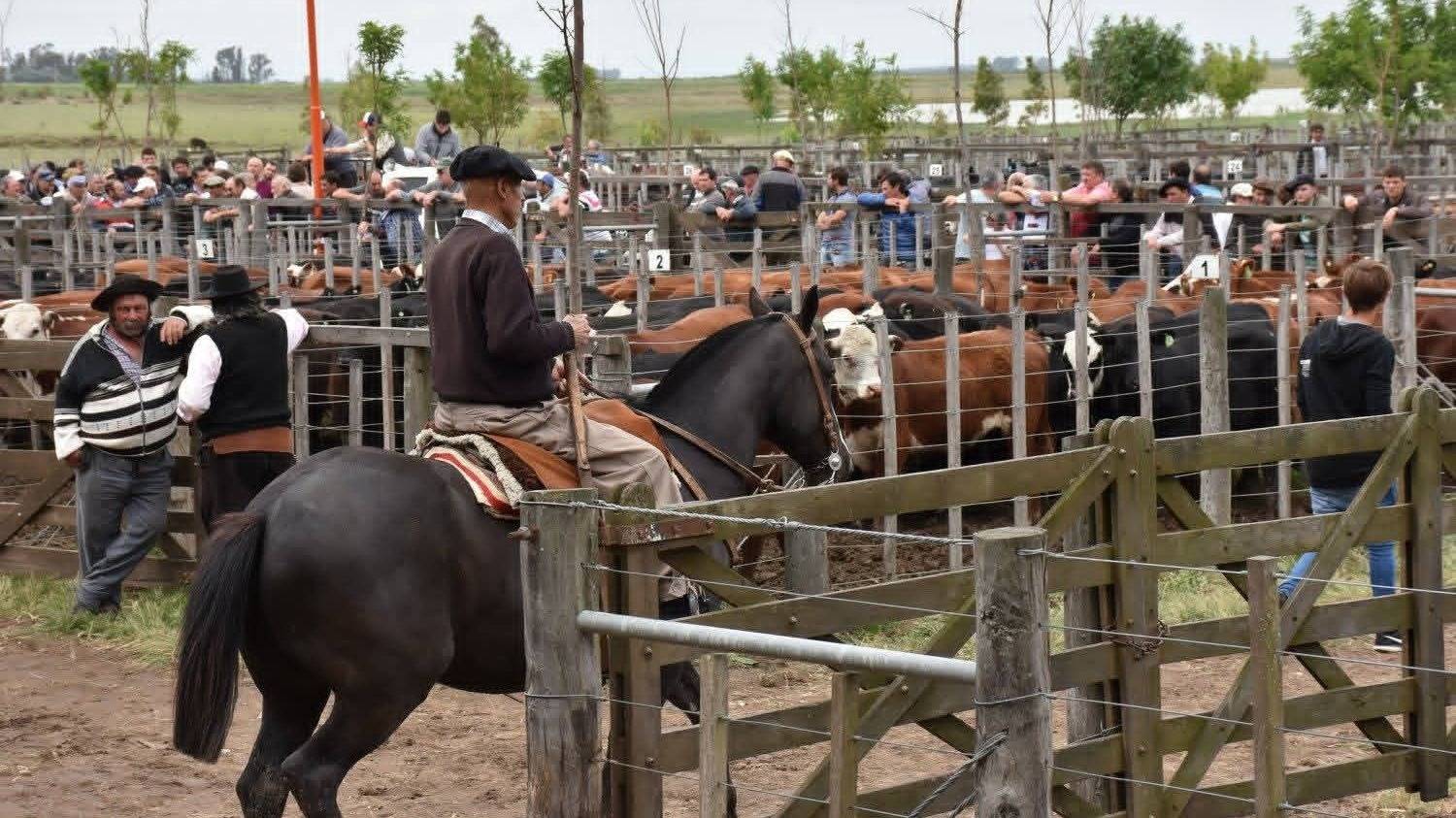 Asociación Agrícola Ganadera, siete décadas acompañando al campo y la producción local