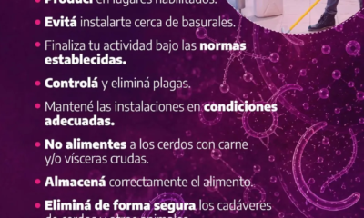 Ante el brote de triquinosis en la región, recomendaciones de la Secretaría de Salud