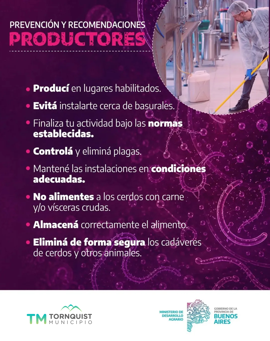 Ante el brote de triquinosis en la región, recomendaciones de la Secretaría de Salud