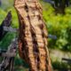 El asado (de la mesa de los argentinos): ¿por qué aumentó más que la inflación?