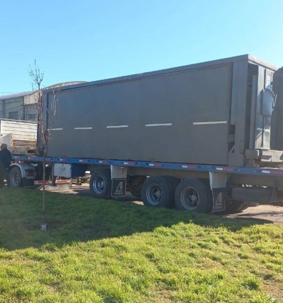 Tornquist: una columna de alumbrado cayó sobre un auto