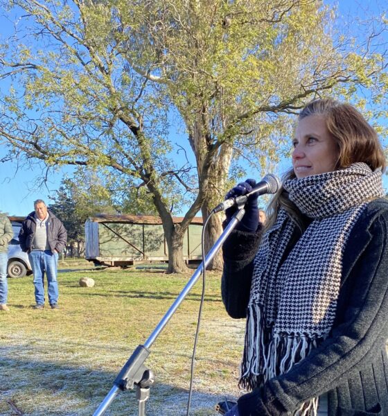 "Es importante que Sierra de la Ventana tenga un símbolo creado entre todos sus habitantes": Viviana Montibeller sobre el concurso para la primera bandera oficial