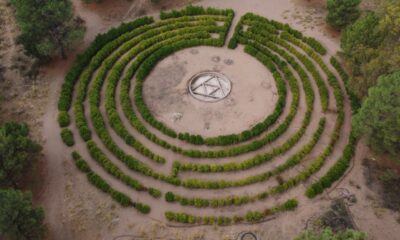 Monte Hermoso avanza con la puesta en valor del Laberinto Vegetal