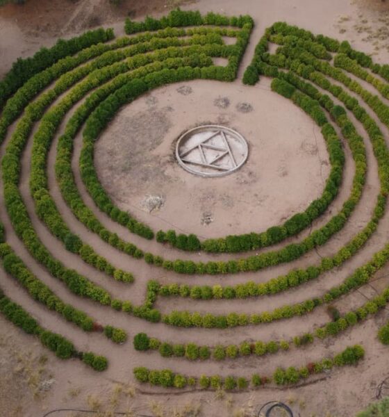 Monte Hermoso avanza con la puesta en valor del Laberinto Vegetal