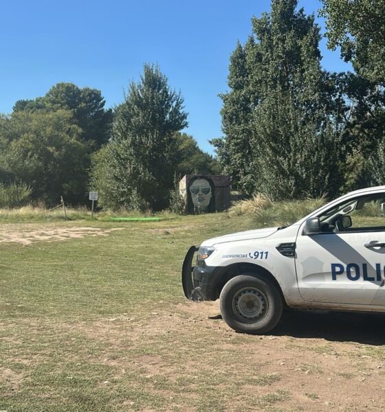 "Aunque sea un delito menor, se trabaja con toda la intensidad": Pérez explicó los avances de la investigación