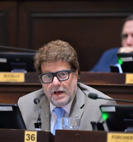 Legislatura bonaerense: reclamo para acelerar leyes contra el avance del juego online entre menores