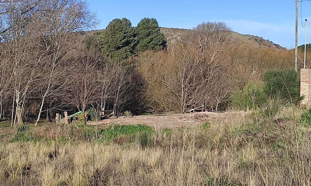 Transformación del Balneario La Hoya: concluyó la demolición del antiguo parador y se recuperó un emblemático espacio verde