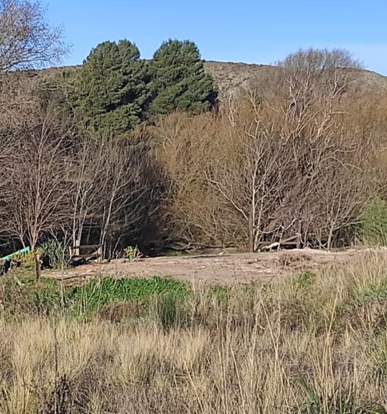 Transformación del Balneario La Hoya: concluyó la demolición del antiguo parador y se recuperó un emblemático espacio verde