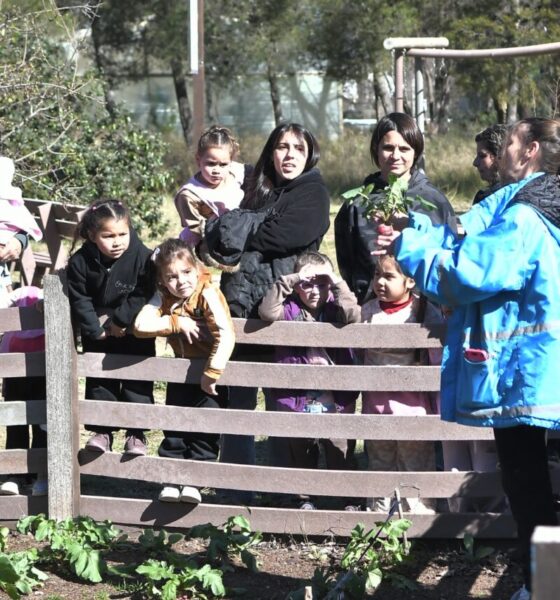 Educación ambiental: más instituciones se suman a la puesta en marcha de huertas comunitarias