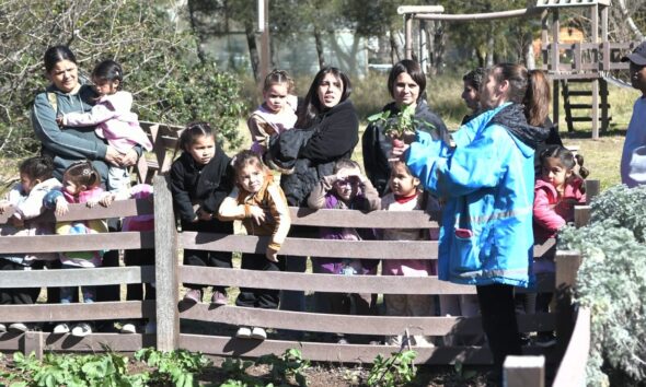 Educación ambiental: más instituciones se suman a la puesta en marcha de huertas comunitarias